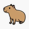 CAPYBARA 5