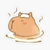 CAPYBARA 6