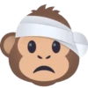 Changuito Emojis 11