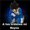 Goku black &Vegeta 12