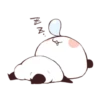 Yururin Panda 13