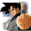 Goku black &Vegeta 14