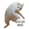 Animales I 10