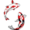 Peces Koi❥ ︎ͫ1 Clásica 16