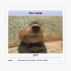 CAPYBARA 7