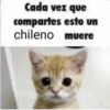 Animales I 13