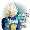 Goku black &Vegeta 16