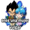 Goku black &Vegeta 17