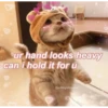 ur hand looks heavy
can i hold it for u
@alldogsloveyou