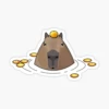 CAPYBARA 9