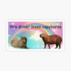 CAPYBARA 10