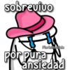 Florksito con manta ᥫ᭡ 20