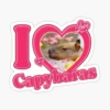 CAPYBARA 12