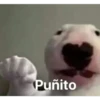 Animales I 20