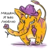 YellowElephant 7