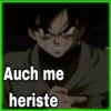 Goku black &Vegeta 22