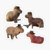 CAPYBARA 14