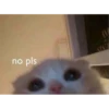 no pls
(V
