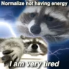 Normalize not having energy
@nocturnaltrashposts
I am very tired