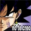 Goku black &Vegeta 23