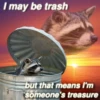 I may be trash
@noctun ashpo
but that means I'm
someone's treasure