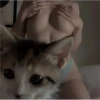 Animales I 22