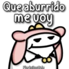 Florksito con manta ᥫ᭡ 26