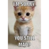 I'M SORRY..
YOU STILL
MAD?
DIYLDL.COM