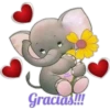 SMILE 26