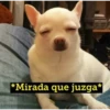 Animales I 27