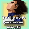 Goku black &Vegeta 30