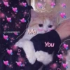 iglovehimsm Me
You
