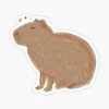 CAPYBARA 17