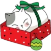 Cat ️ Bunny 5