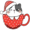 Cat ️ Bunny 6