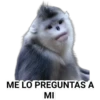 ME LO PREGUNTAS A
MI