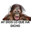AY DIOS LO QUE HA
DICHO