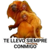 TE LLEVO SIEMPRE
CONMIGO