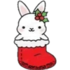 Cat ️ Bunny 9