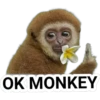 OK MONKEY