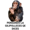 PENSANDO LA
GILIPOLLECES QE
DICES