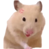 Emojis de Hámsters 10