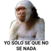YO SÓLO SE QUE NO
SE NADA