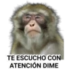 TE ESCUCHO CON
ATENCIÓN DIME