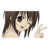 Vampire Knight 10