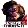 ESPERO TU
RESPUESTA BB