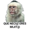 QUE NECI@ ERES
MIJIT@
