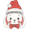 Cat ️ Bunny 15