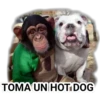 TOMA UN HOT DOG