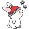Cat ️ Bunny 17